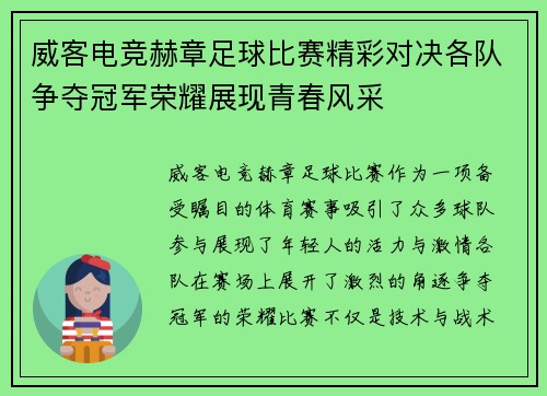 威客电竞赫章足球比赛精彩对决各队争夺冠军荣耀展现青春风采